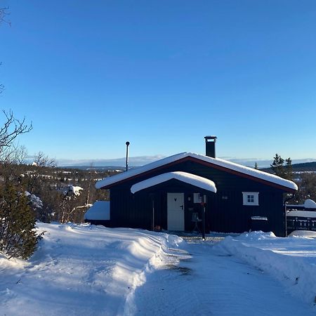 Cabin In The Mountain, Outstanding View & Solar Energy Vollen المظهر الخارجي الصورة