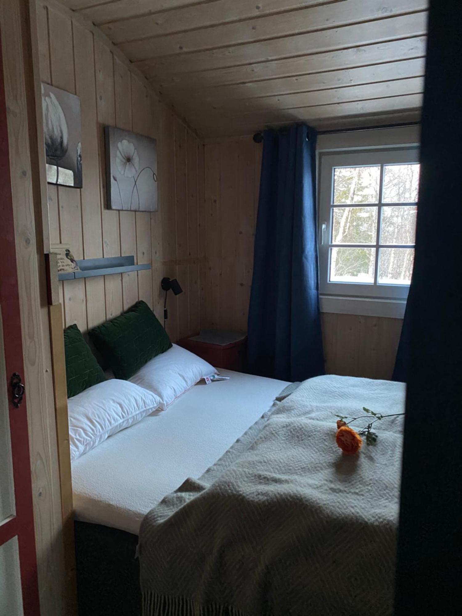 Cabin In The Mountain, Outstanding View & Solar Energy Vollen المظهر الخارجي الصورة